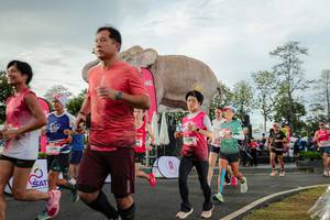 BIB: 
                            <button type="button" onclick="openModal(26528305)" class="btn btn-primary btn-sm float-right btn-popup" data-toggle="modal" data-target=".modal-high-quality">
                        <i class="fas fa-shopping-cart"></i> Add to Cart
                    </button>
                                            <button type="button" onclick="isThisMe(26528305, true)" class="btn btn-success btn-sm float-right btn-popup btn-isme hidden" data-toggle="tooltip" data-placement="bottom" title="นี่คือรูปของคุณใช่ไหม คลิกที่นี่เพื่อเอาเข้าอัลบั้ม">
                        <i class="fas fa-plus"></i> Add to album
                    </button>
                    <button type="button" onclick="isThisMe(26528305, false)" class="btn btn-warning btn-sm float-right btn-popup btn-isnotme hidden">
                        <i class="fas fa-ban"></i> Remove from album
                    </button>